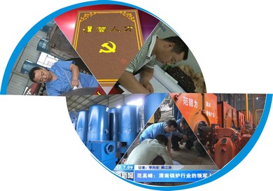 陕西德力能源科技有限责任公司范德力锅炉 陕西德力能源科技有限责任公司范德力锅炉
