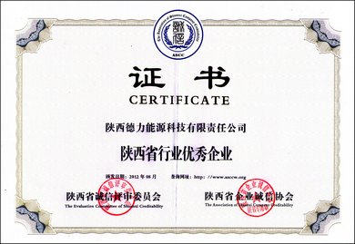 陕西德力能源科技有限责任公司范德力锅炉 陕西德力能源科技有限责任公司范德力锅炉